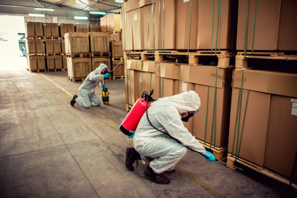 Pest Control Cost in Loyola, CA