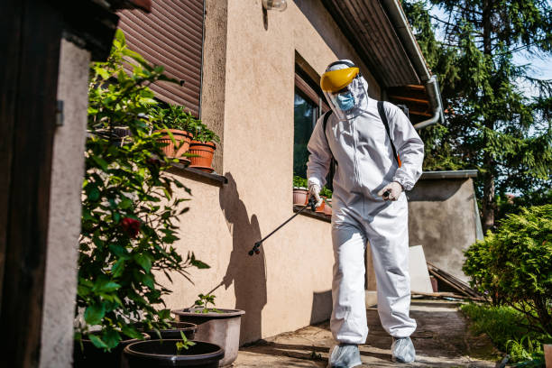 Best Emergency Pest Control  in Loyola, CA