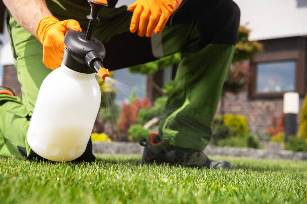Best Wildlife Control Services  in Loyola, CA