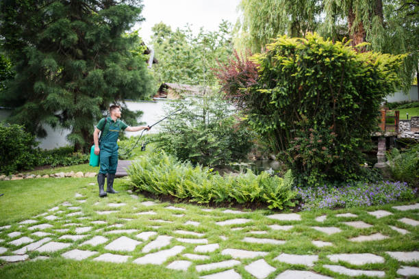 Best Emergency Pest Control  in Loyola, CA