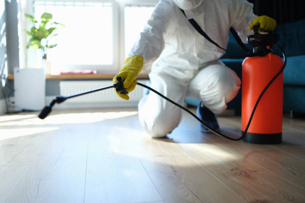 Wasp Removal Services in Loyola, CA