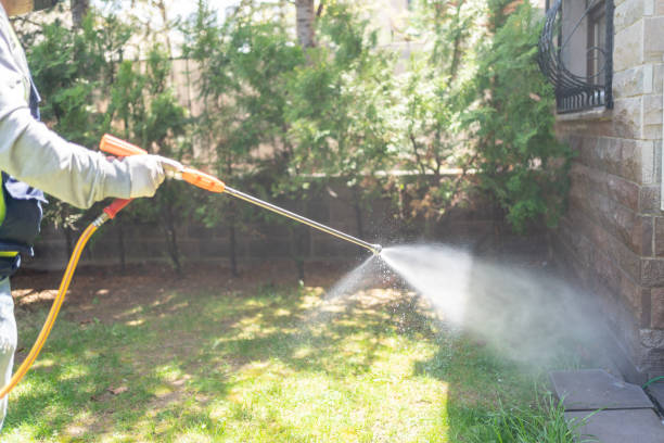 Best Mosquito Control Services  in Loyola, CA