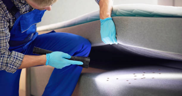 Best Commercial Pest Control Services  in Loyola, CA