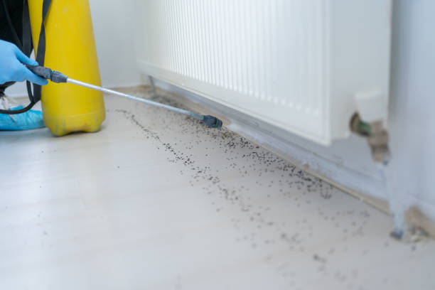 Best Bed Bug Extermination  in Loyola, CA