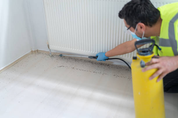 Best Cockroach Control Services  in Loyola, CA